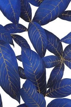  feuilles bleues abstraites et modernes