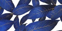  feuilles bleues abstraites et modernes