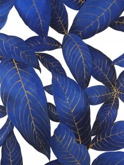  feuilles bleues abstraites et modernes