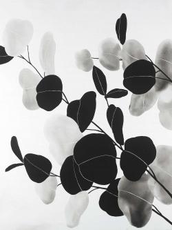 Grayscale branches with leaves