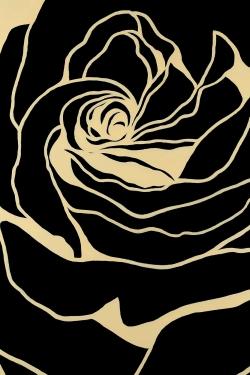 Silhouette of a rose