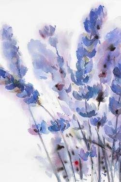 Watercolor lavender flowers