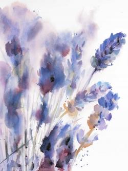 Watercolor lavender flowers with blur effect