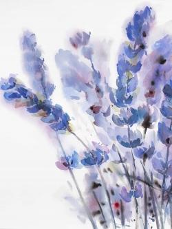 Watercolor lavender flowers