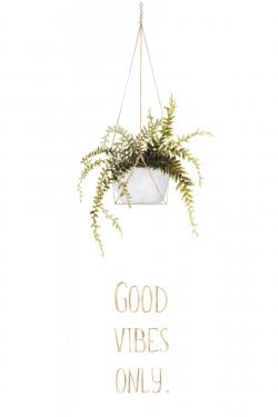 Good vibes only