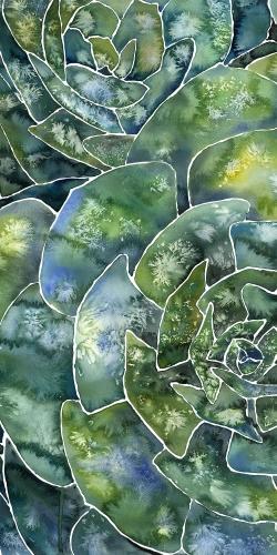 Abstract succulents