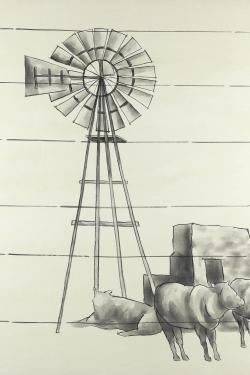 Vieux moulin à vent vintage du texas