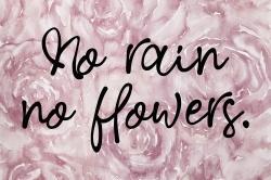 No rain no flowers