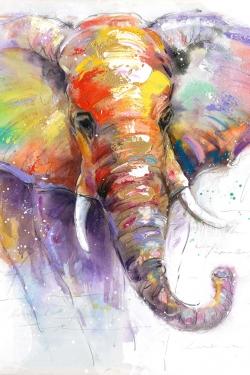 Magnifique éléphant coloré