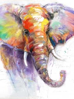 Magnifique éléphant coloré