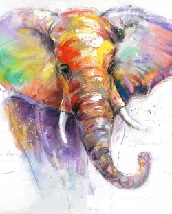 Magnifique éléphant coloré