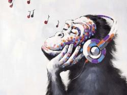 Singe écoutant de la musique