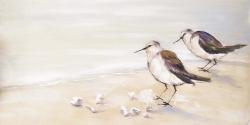 Two sandpipers on the beach