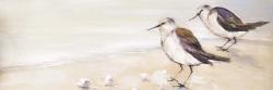 Two sandpipers on the beach