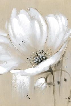 Fleur sauvage blanche et abstraite