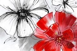 Red & white flowers sketch