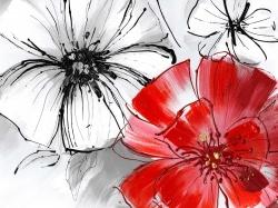 Esquisse de fleurs rouges et blanches