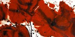 Abstract red flowers field