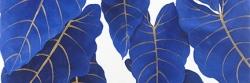 Feuilles bleues abstraites tropicales