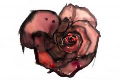 Dark rose