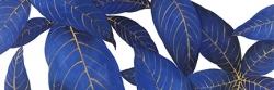  feuilles bleues abstraites et modernes