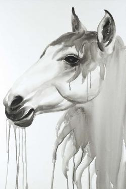 Beautiful white horse