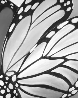 Monarch wings closeup