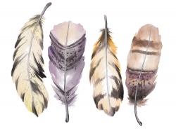 Ensemble de plumes mauve