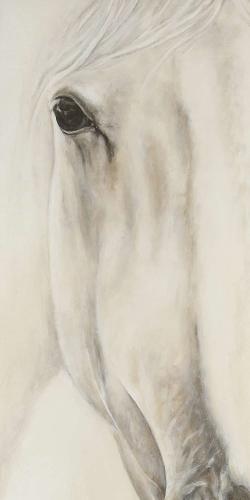 Half portrait of a peaceful horse