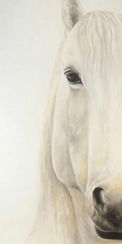 Half portrait of a smiling horse