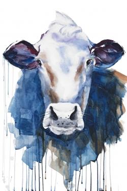 Watercolor cow