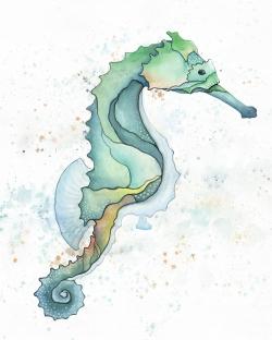 Sea horse