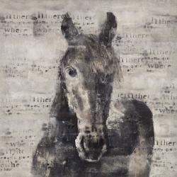 Abstract horse with typography