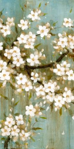 Cerisier blanc en fleurs