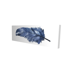 Plume bleue