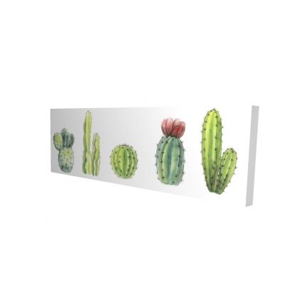 Ensemble de mini cactus