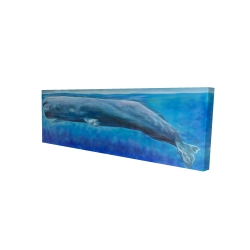 Sperm whale