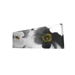 Fleurs en noir et blanc