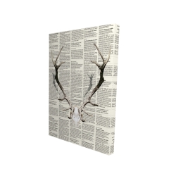 Bois de cerf sur papier journal