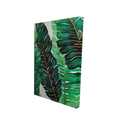 Feuilles de plantes exotiques