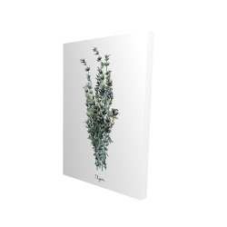 Thyme leaves bundle - fr