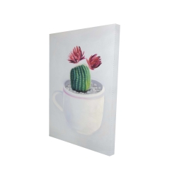 Mini cactus dans une tasse