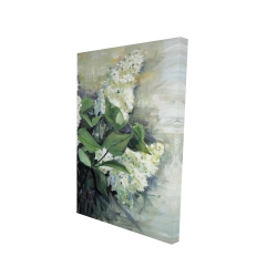 White lilacs