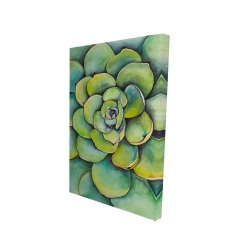 Watercolor succulent plant