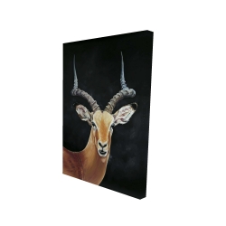 Antilope