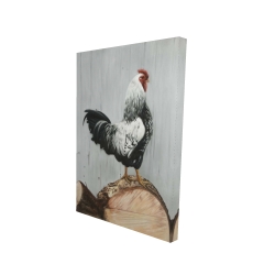 Wyandotte rooster