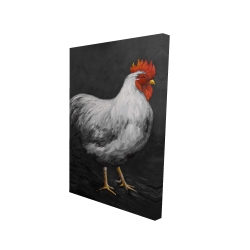 Grey rooster 2