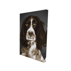 Brown english springer spaniel