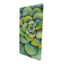 Watercolor succulent plant