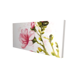 Watercolor magnolia flowers